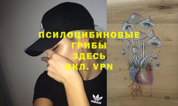 соль ск Лихославль