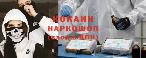 индика Липки